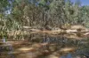37 Portwines Road, Lauriston, Vic 3444-Image
