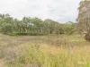 37 Teschner Road, Woolmer, Qld 4352-Image