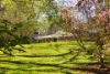 37 Yuulong Road, Tamborine Mountain, Qld 4272-Image