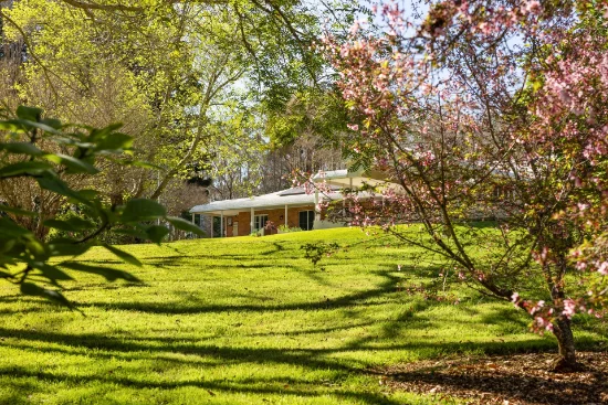 37 Yuulong Road, Tamborine Mountain, Qld 4272-Image