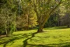 37 Yuulong Road, Tamborine Mountain, Qld 4272-Image