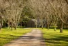 37 Yuulong Road, Tamborine Mountain, Qld 4272-Image