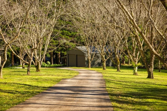 37 Yuulong Road, Tamborine Mountain, Qld 4272-Image