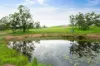 371 Bobs Range Road, Orangeville, NSW 2570-Image