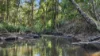 372 Wilsons Pocket Road, Wilsons Pocket, Qld 4570-Image
