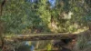 372 Wilsons Pocket Road, Wilsons Pocket, Qld 4570-Image