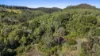 372 Wilsons Pocket Road, Wilsons Pocket, Qld 4570-Image