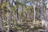 375 Crockerup Road, Mount Barker, WA 6324-Image