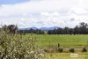 375 Crockerup Road, Mount Barker, WA 6324-Image