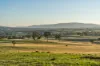 375 Kellys Road, Lyal, Vic 3444-Image