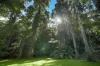 376 Kruckow Road, East Russell, Qld 4861-Image