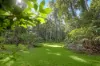 376 Kruckow Road, East Russell, Qld 4861-Image