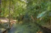 376 Kruckow Road, East Russell, Qld 4861-Image