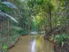 376 Kruckow Road, East Russell, Qld 4861-Image