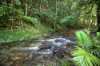376 Kruckow Road, East Russell, Qld 4861-Image