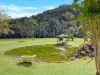 376 Kruckow Road, East Russell, Qld 4861-Image