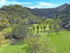 376 Kruckow Road, East Russell, Qld 4861-Image