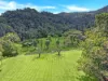 376 Kruckow Road, East Russell, Qld 4861-Image