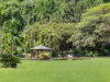376 Kruckow Road, East Russell, Qld 4861-Image