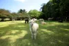 376 Kruckow Road, East Russell, Qld 4861-Image