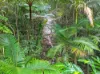 376 Kruckow Road, East Russell, Qld 4861-Image