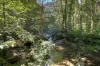 376 Kruckow Road, East Russell, Qld 4861-Image