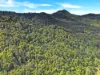 376 Kruckow Road, East Russell, Qld 4861-Image