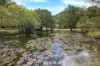 376 Kruckow Road, East Russell, Qld 4861-Image