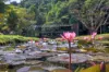 376 Kruckow Road, East Russell, Qld 4861-Image