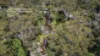 378 Athol Glen Road, Sherwood, NSW 2450-Image