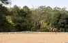 378 Chevallum Road, Chevallum, Qld 4555