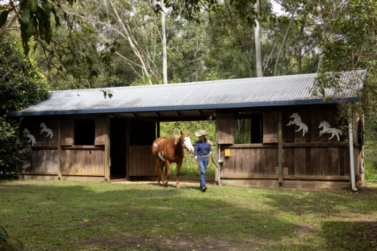 378 Chevallum Road, Chevallum, Qld 4555-Image