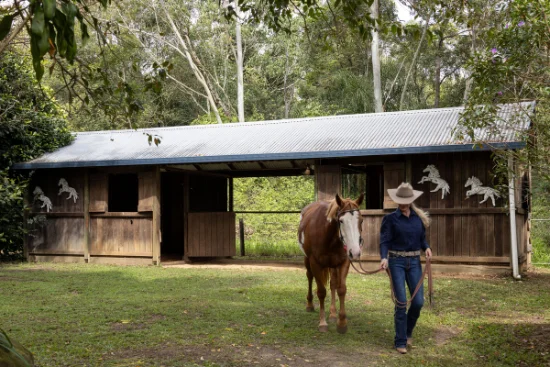 378 Chevallum Road, Chevallum, Qld 4555-Image