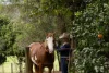 378 Chevallum Road, Chevallum, Qld 4555-Image