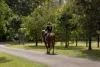 378 Chevallum Road, Chevallum, Qld 4555-Image