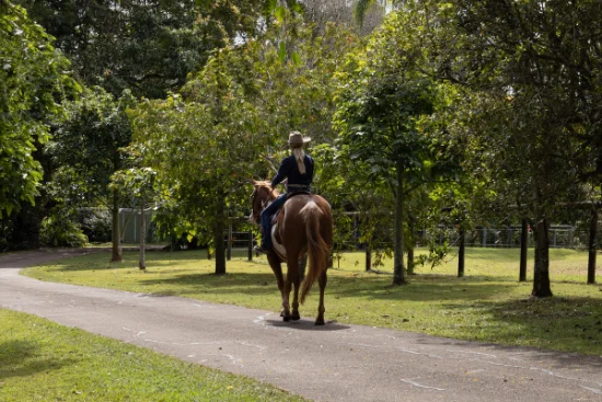 378 Chevallum Road, Chevallum, Qld 4555-Image