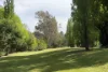 378 Howes Creek Road, Goughs Bay, Vic 3723-Image