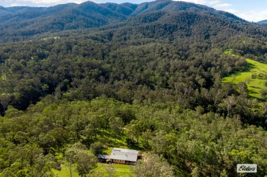 3784 Snowy Mountains Highway, Bemboka, NSW 2550