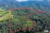 3784 Snowy Mountains Highway, Bemboka, NSW 2550-Image