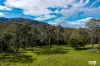 3784 Snowy Mountains Highway, Bemboka, NSW 2550-Image