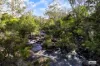 3784 Snowy Mountains Highway, Bemboka, NSW 2550-Image