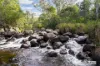 3784 Snowy Mountains Highway, Bemboka, NSW 2550-Image