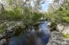 3784 Snowy Mountains Highway, Bemboka, NSW 2550-Image