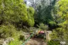 3784 Snowy Mountains Highway, Bemboka, NSW 2550-Image