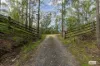 3784 Snowy Mountains Highway, Bemboka, NSW 2550-Image