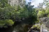 3784 Snowy Mountains Highway, Bemboka, NSW 2550-Image
