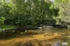 3784 Snowy Mountains Highway, Bemboka, NSW 2550-Image