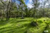 3784 Snowy Mountains Highway, Bemboka, NSW 2550-Image