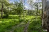 3784 Snowy Mountains Highway, Bemboka, NSW 2550-Image