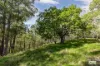 3784 Snowy Mountains Highway, Bemboka, NSW 2550-Image